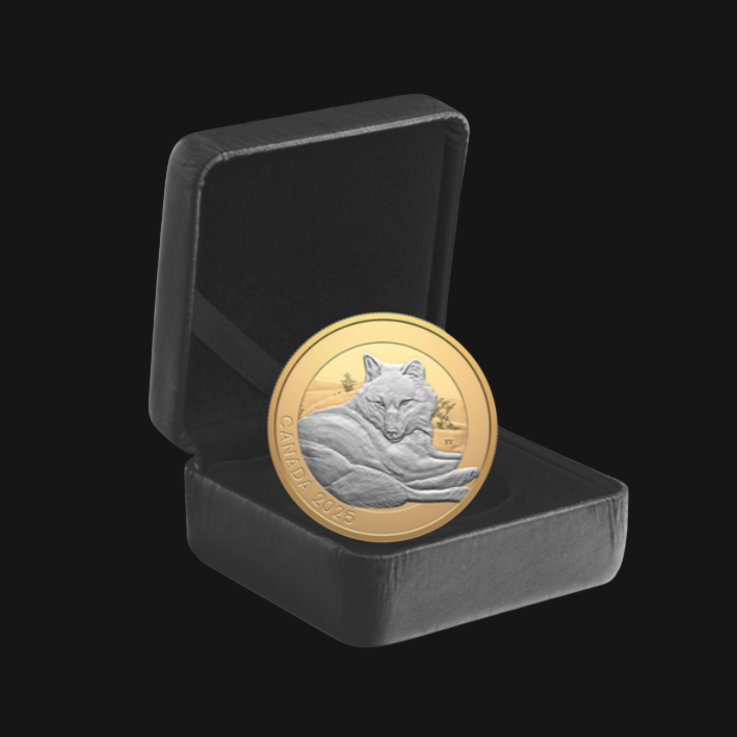 Pièce en argent fin (1 oz) - MRC - Art animalier : Loup gris 2025