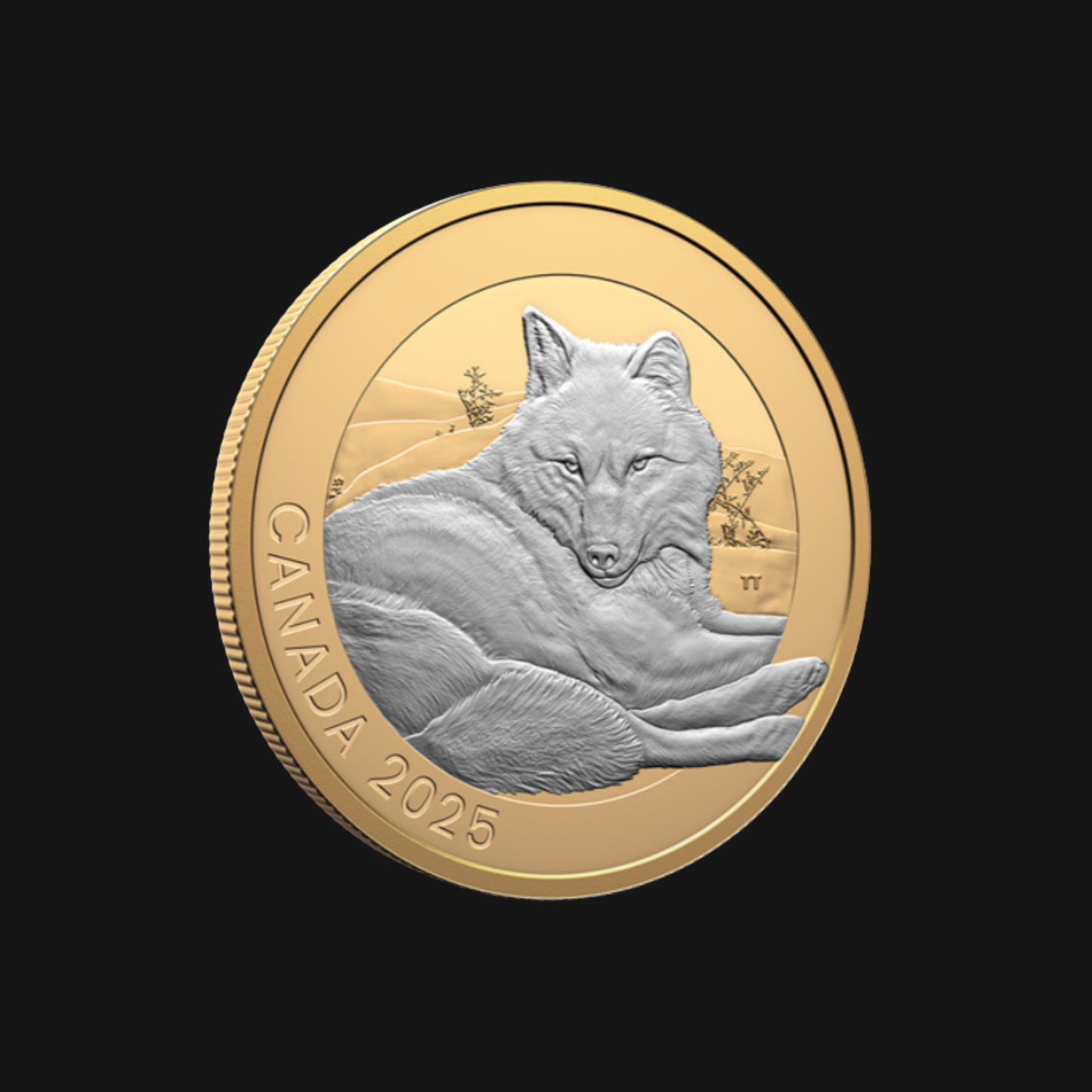 Pièce en argent fin (1 oz) - MRC - Art animalier : Loup gris 2025