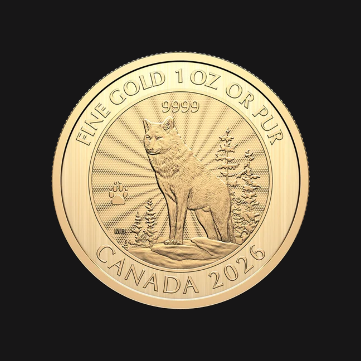 Le Majestueux Loup 2026 – Pièce de 1 oz en or pur .9999 de la Monnaie royale canadienne recto | Groupe Conquer'or