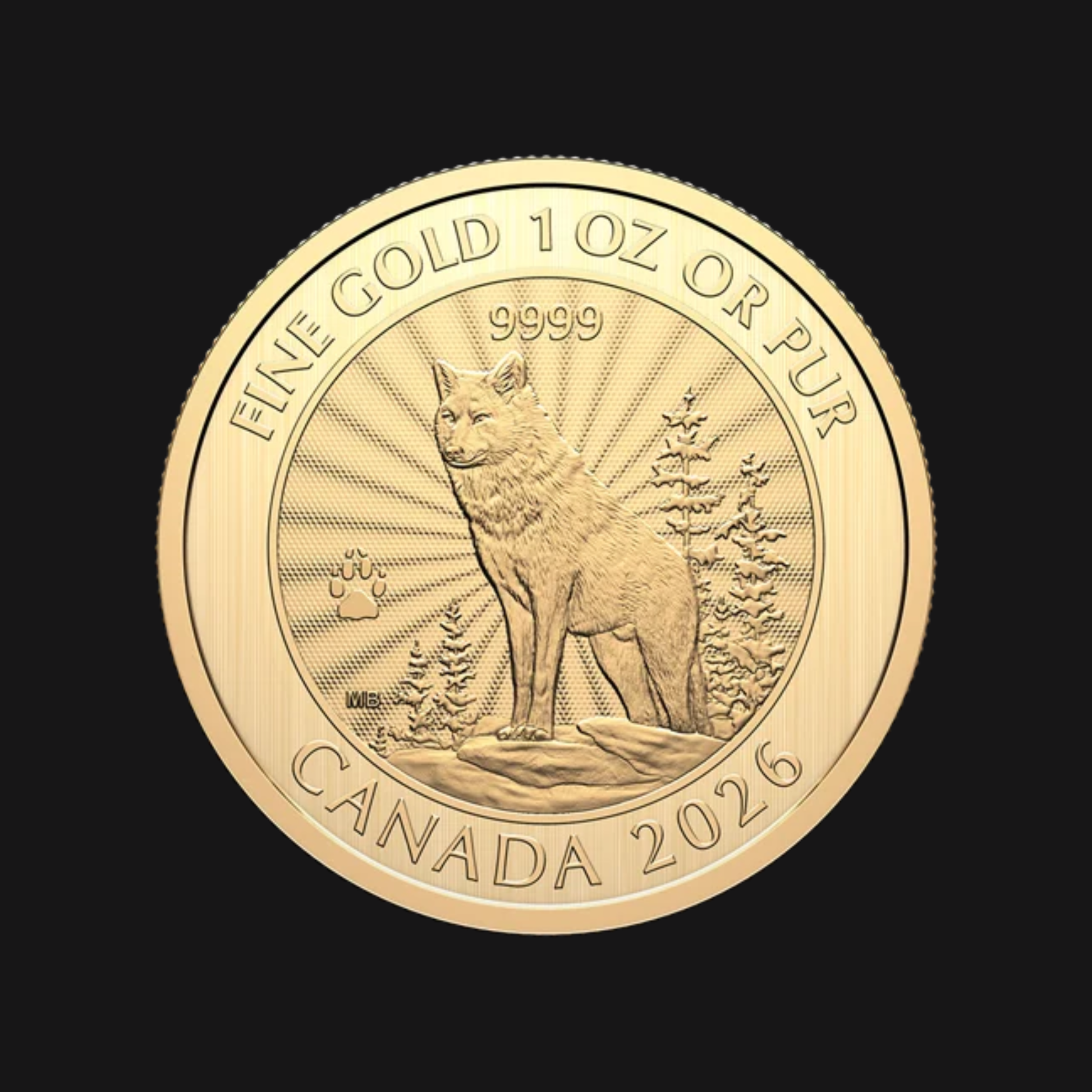 Le Majestueux Loup 2026 – Pièce de 1 oz en or pur .9999 de la Monnaie royale canadienne recto | Groupe Conquer'or