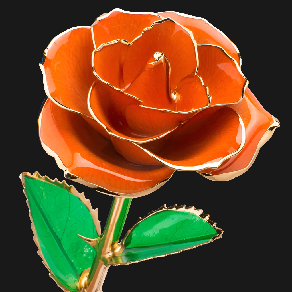 Rose éternelle or 24k