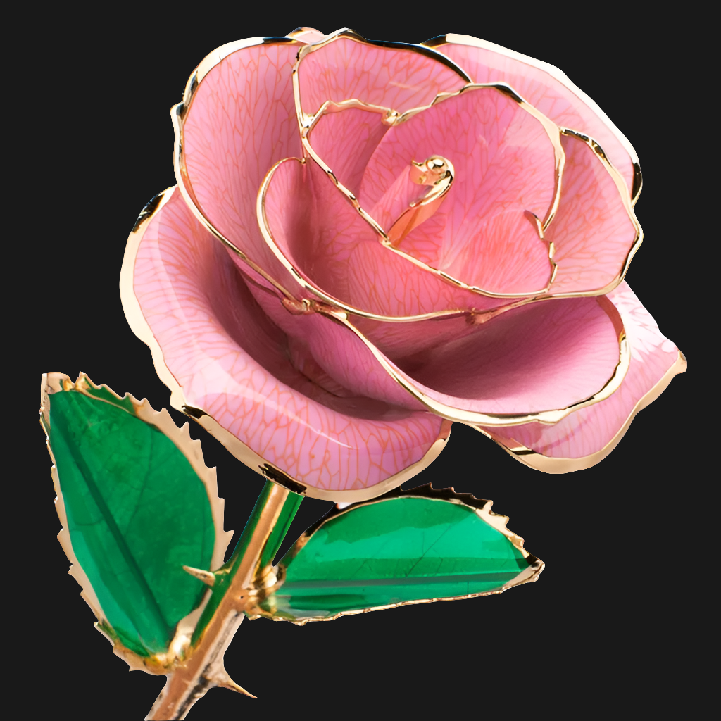 Rose éternelle or 24k