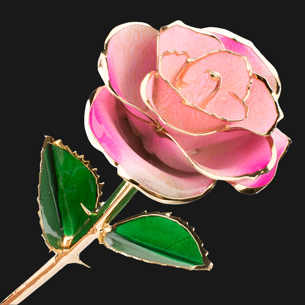 Rose éternelle or 24k