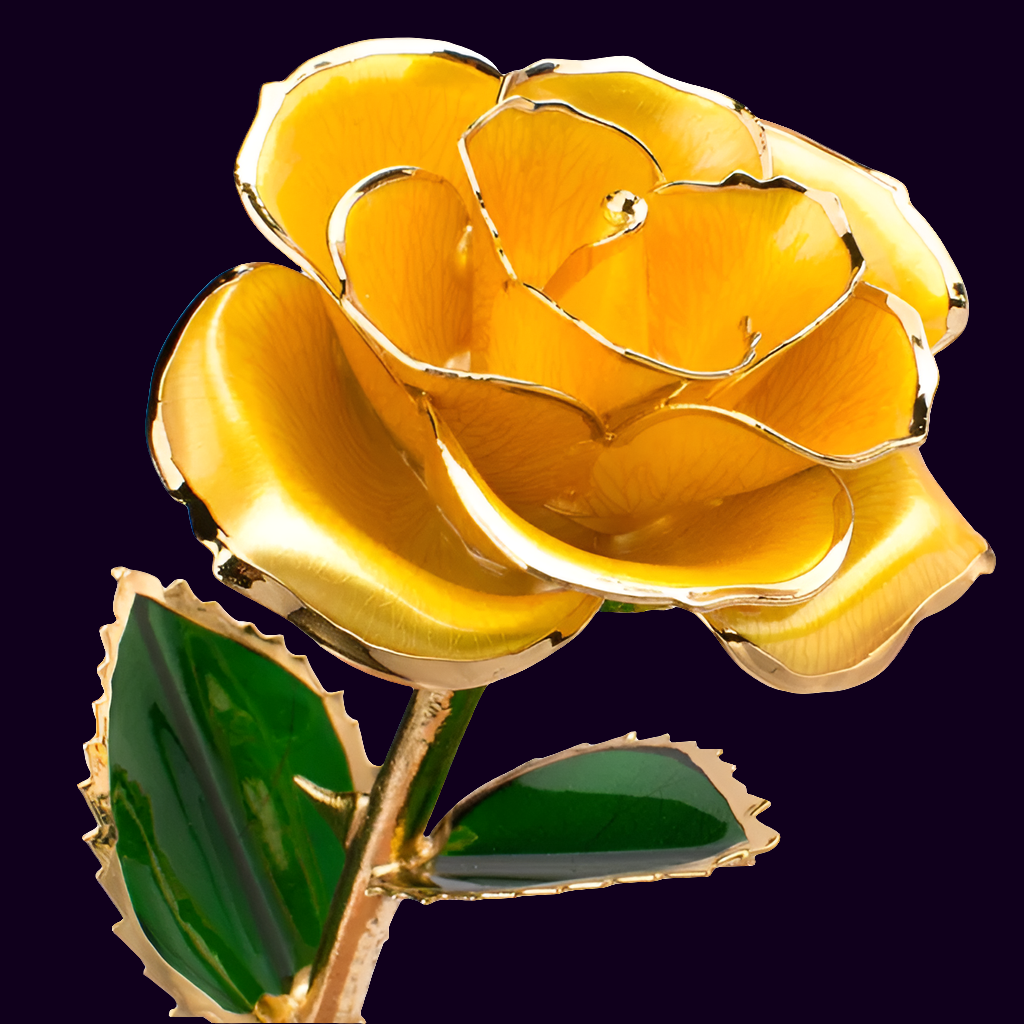 Rose éternelle or 24k