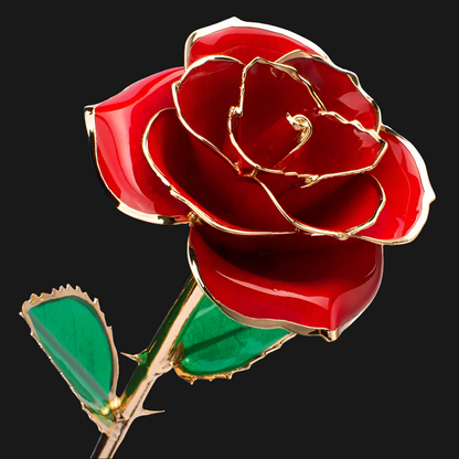 Rose éternelle or 24k