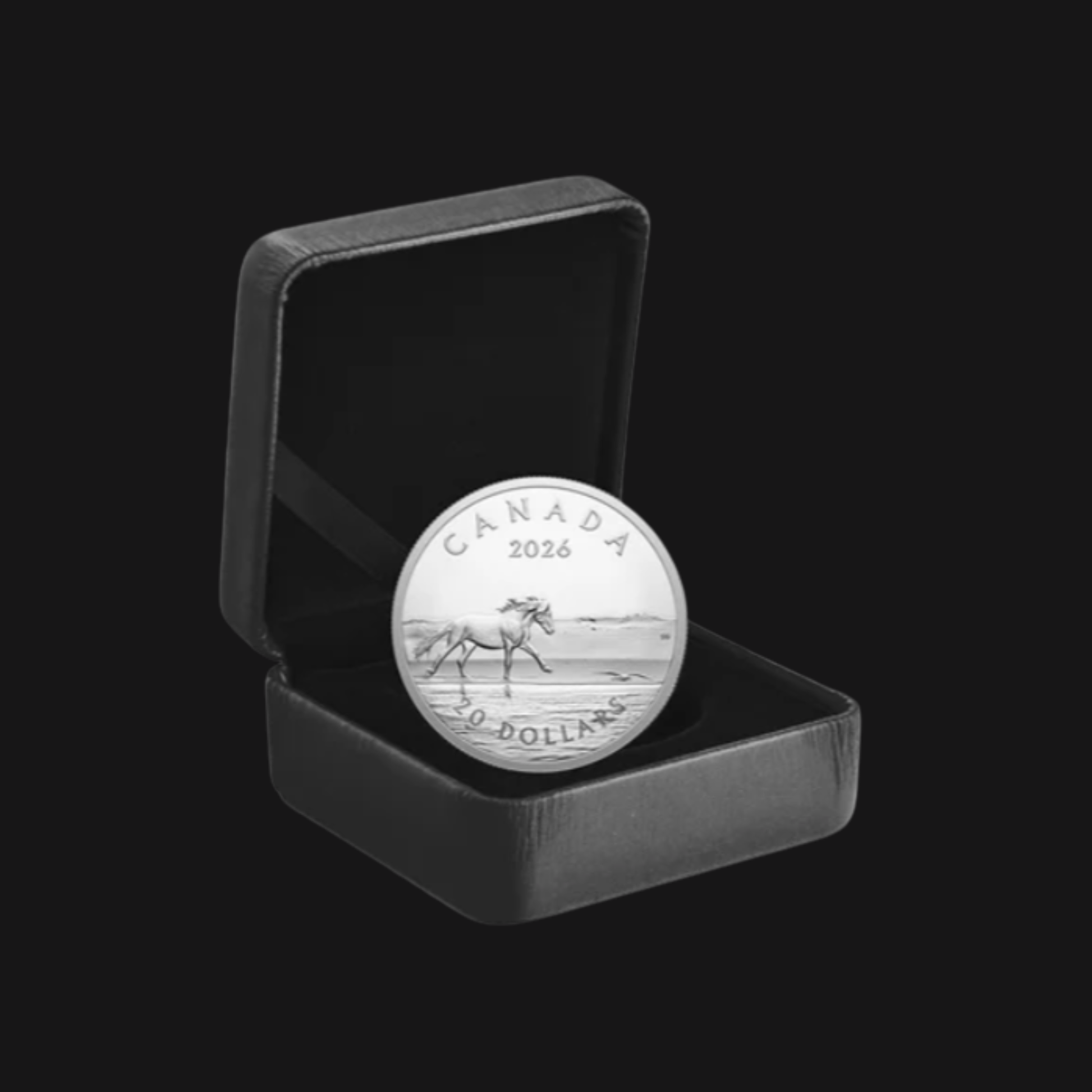 Pièce 1 oz argent pur – Les Chevaux de l'île de Sable (2026) – Monnaie royale canadienne – Emballage – Groupe Conquer'or